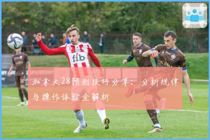 加拿大28预测技巧分享：分析规律与操作体验全解析