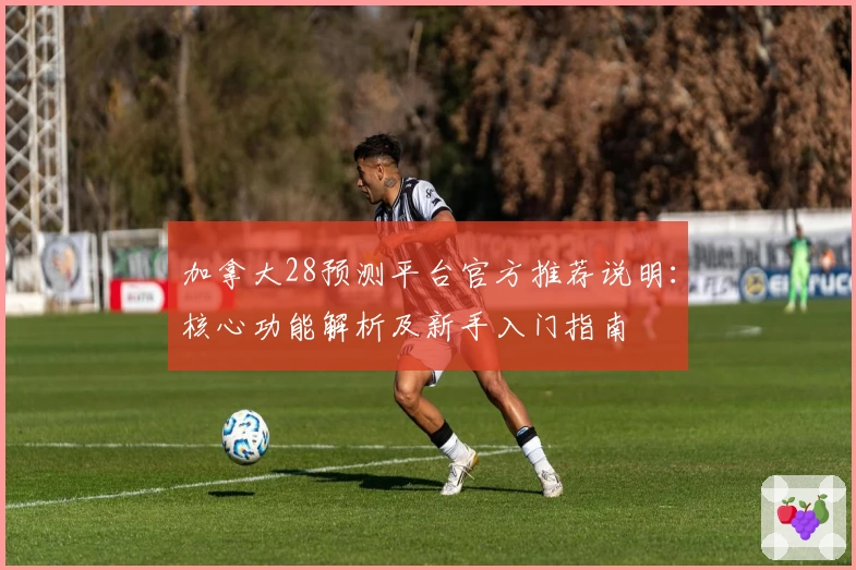 加拿大28预测平台官方推荐说明:核心功能解析及新手入门指南