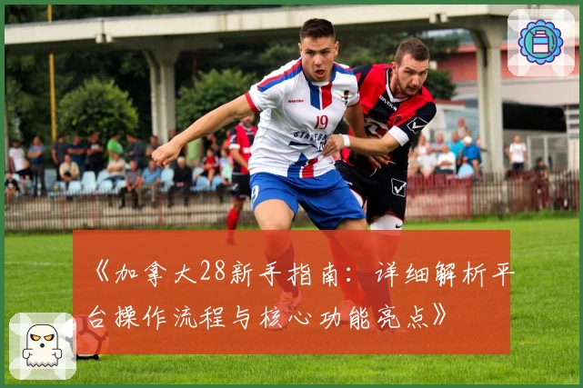 《加拿大28新手指南：详细解析平台操作流程与核心功能亮点》