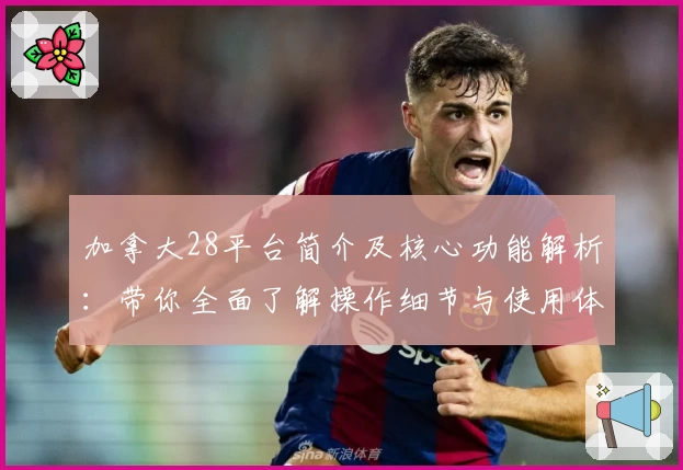 加拿大28平台简介及核心功能解析：带你全面了解操作细节与使用体验