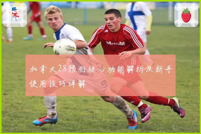 加拿大28预测核心功能解析及新手使用技巧详解