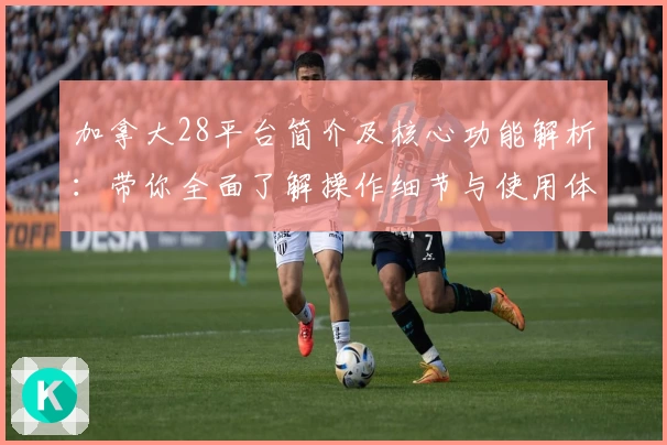 加拿大28平台简介及核心功能解析：带你全面了解操作细节与使用体验